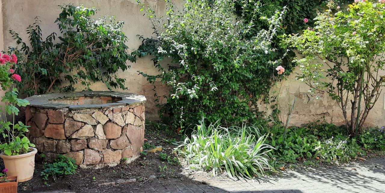 Apartamento La Charpenterie Bergheim Exterior foto